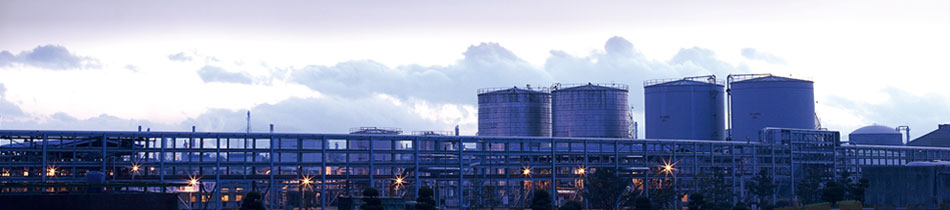 多年的经营过程中，不断优化货源渠道，使产品价格更具竞争力！